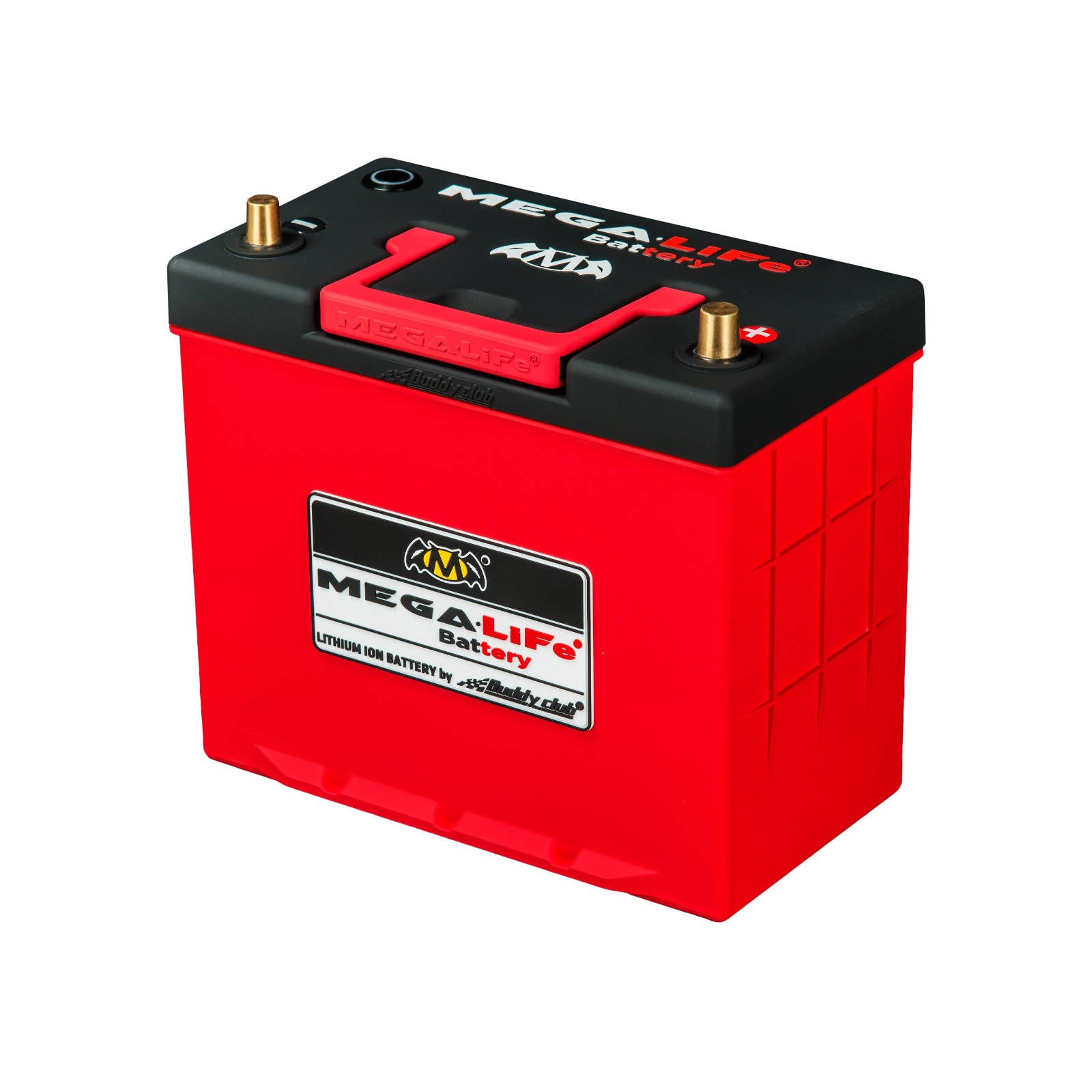 MEGALiFe MV-24L Lithium Iron Phosphate (LiFePO4) Battery – MEGALIFE ...